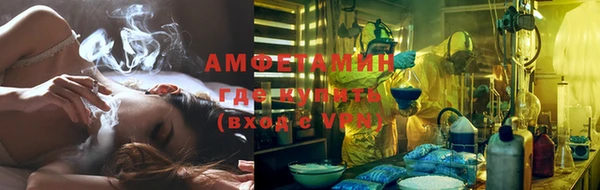 молекула духа Осташков