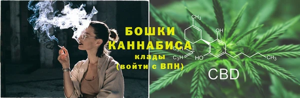 молекула духа Осташков