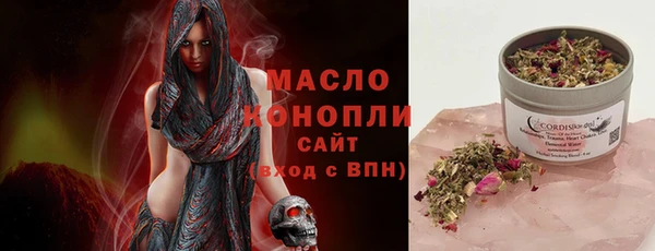 молекула духа Осташков