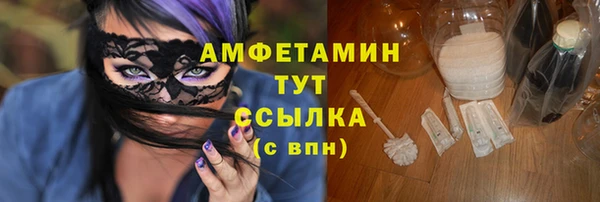 молекула духа Осташков
