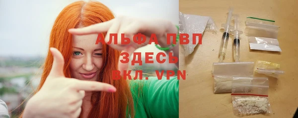 молекула духа Осташков