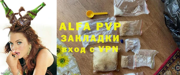 молекула духа Осташков