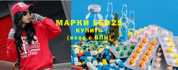 молекула духа Осташков