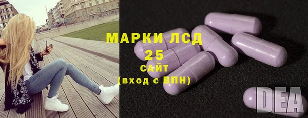 молекула духа Осташков