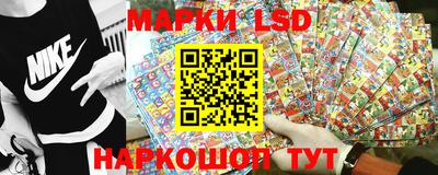 PSILOCYBIN Заводоуковск