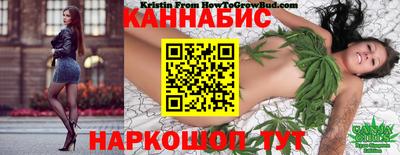 PSILOCYBIN Заводоуковск