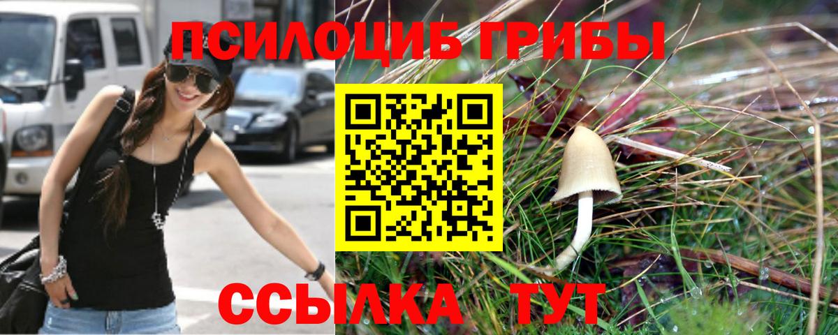 Псилоцибиновые грибы ЛСД  Вход с VPN  Псилоцибиновые грибы мухоморы  Кировск 