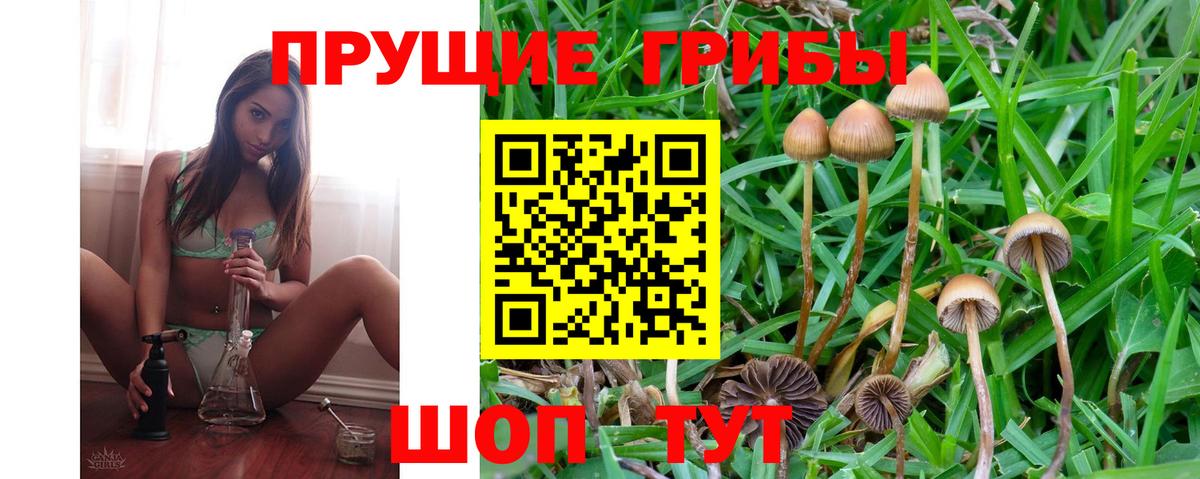 Псилоцибиновые грибы MAGIC MUSHROOMS Кировск
