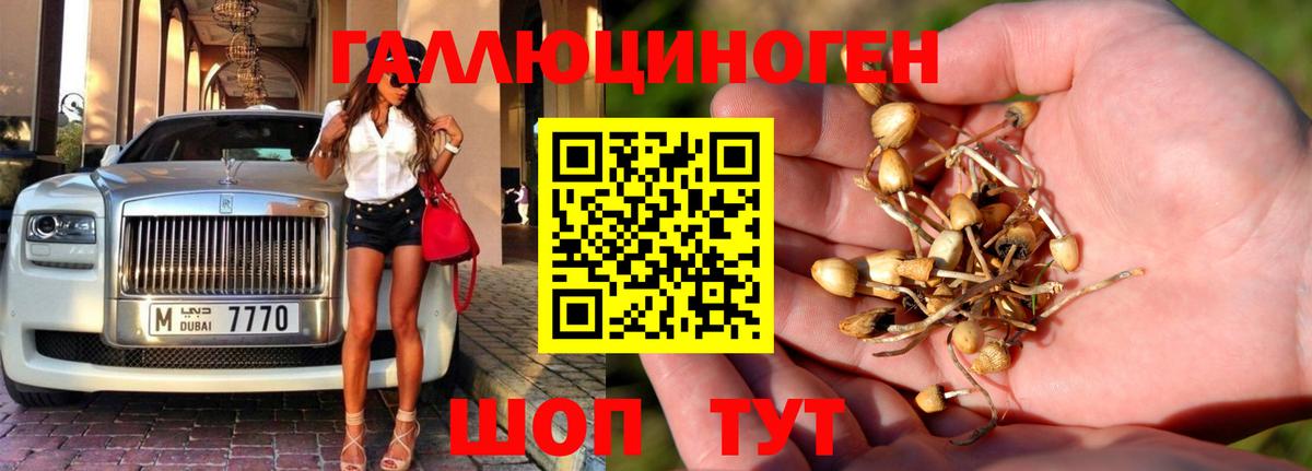 Галлюциногенные грибы мухоморы  Кировск 